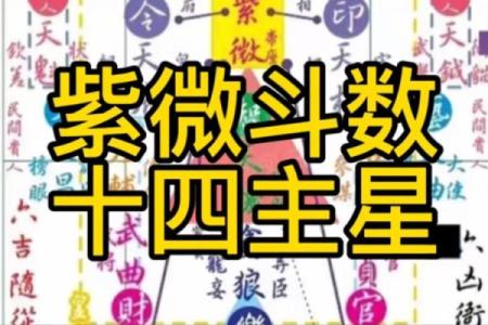 紫薇斗数限运
