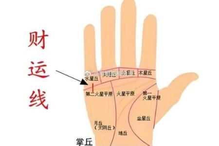 掌纹算命可靠