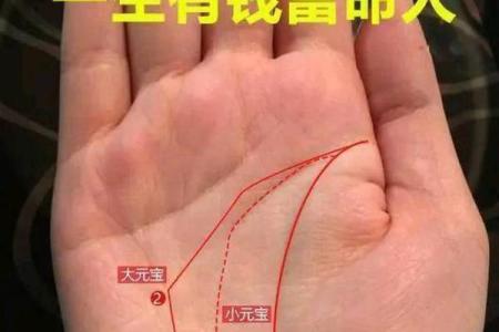 八字和手相