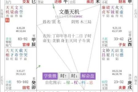 紫薇斗数格局图