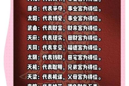 紫微斗数之子女宫与诸星，天梁星在子女宫是什么意思？