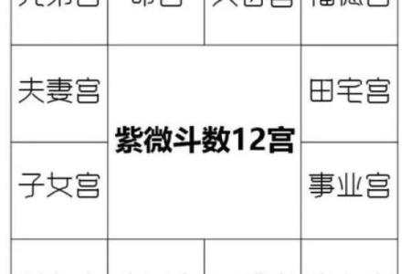 紫微斗数之命例推演：例二　命盘见后