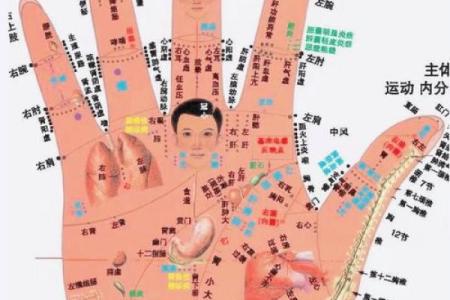 凯帝阿手相算命图解大全02