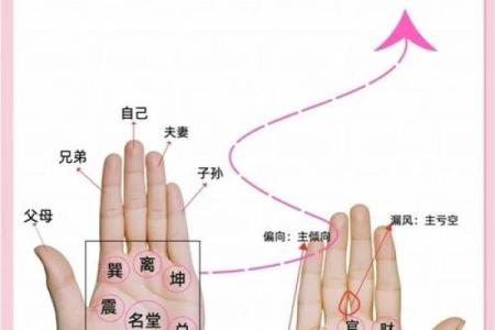 在线扫一扫测手相算命,扫一扫测手相算命免费