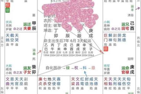 紫云大师紫薇斗数