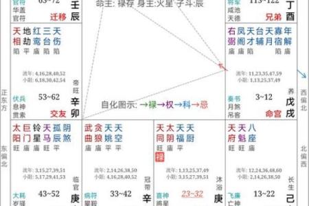 不知道时辰能看紫薇斗数吗