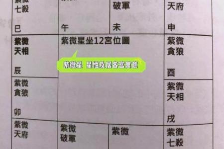 紫薇免费算命准不准？详解紫薇的命理学特点