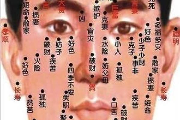 五官看面相算命图解男 男人五官面相大全