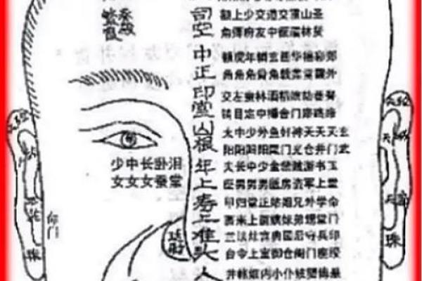 五官看面相算命图解男 男人五官面相大全