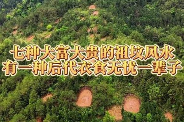 发财最猛的祖坟风水