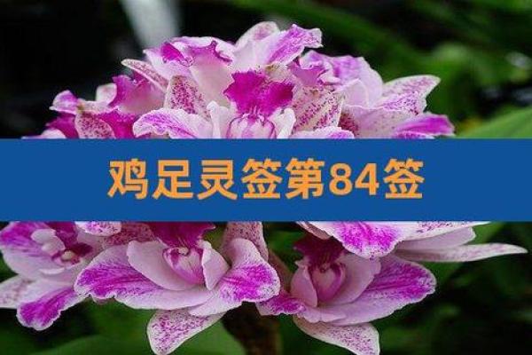 鸡足60灵签