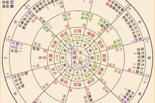 紫微斗数紫薇星排盘
