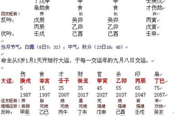 生辰八字速算：轻松预测个人命运走势