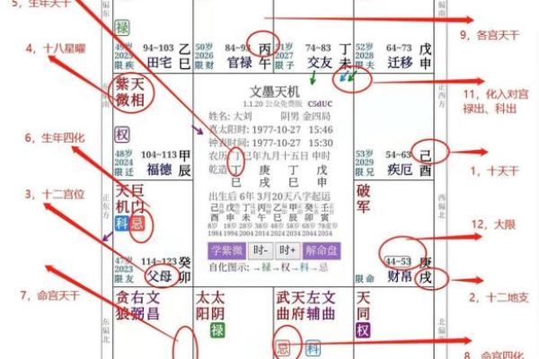 自紫薇斗数