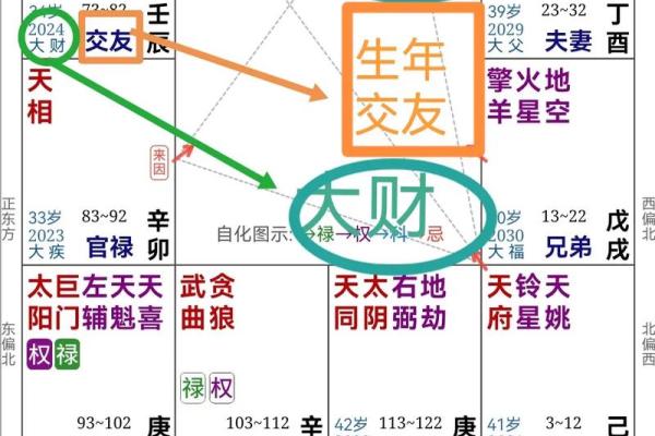 自紫薇斗数