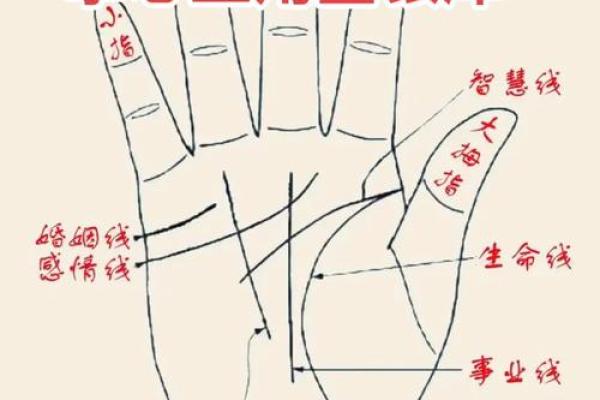 八字看婚姻线和命运线图解