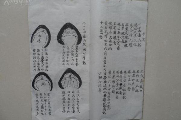 房子拍卖的风水讲究有哪些