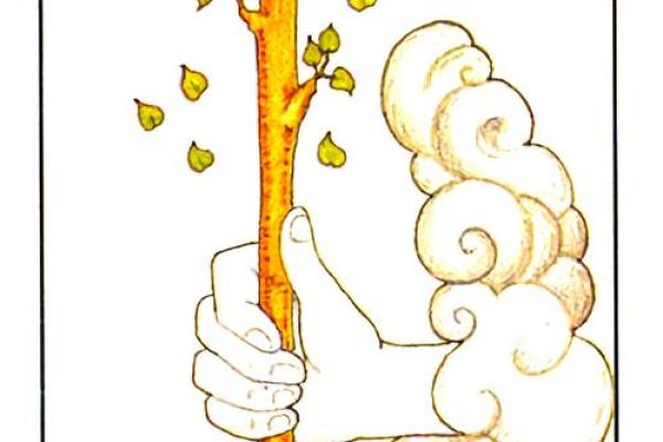 塔罗测试：这个冬季你会遇到什么好事？