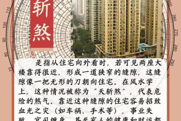 窗户筑巢风水禁忌