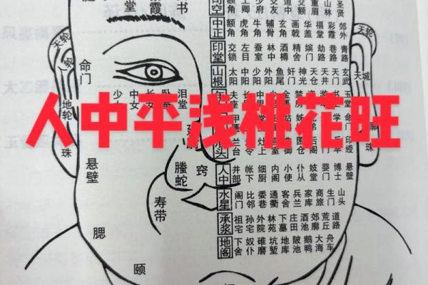中富中贵八字详批，揭秘中富中贵的性格与命运走向