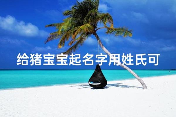 生肖猪八字起名推荐，让宝宝更“吉”更吉利