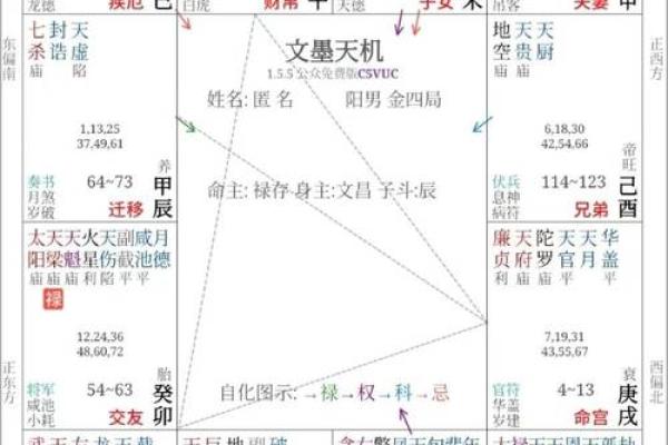 周公紫薇斗数