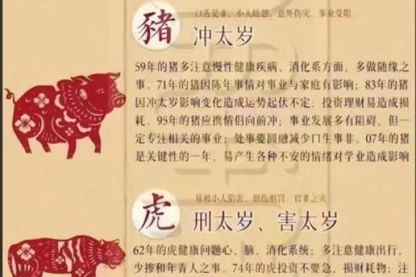 93鸡95猪八字合不合 比较相合的一对