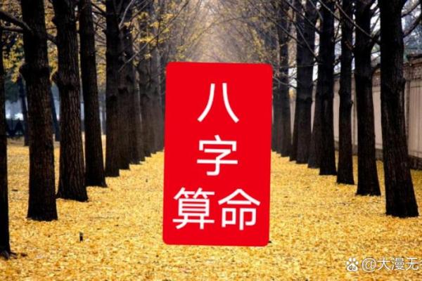 格局高的八字