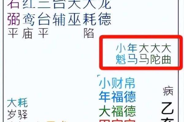 紫薇斗数行运大限