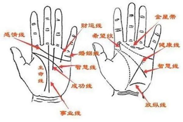 财运线算命