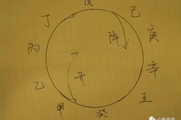八字里的地支怎么论财官印