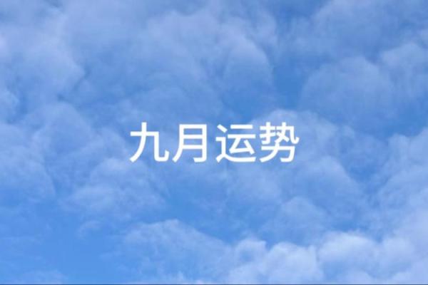 塔罗测试：九月事业运？