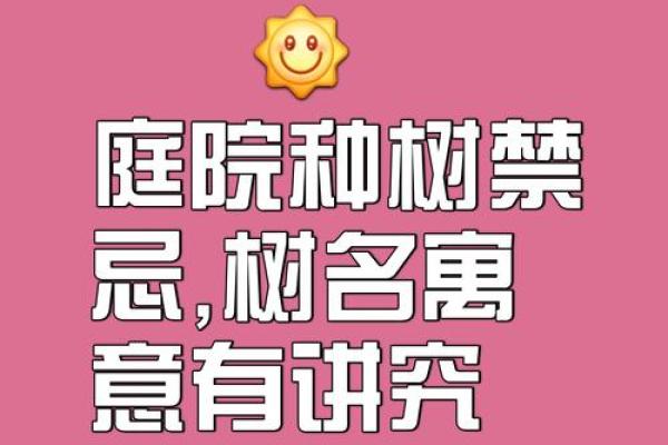 房前不种柳，屋后不栽桑，树木花草的风水作用！