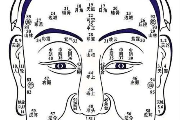 面相算命图解十二宫之：兄弟宫