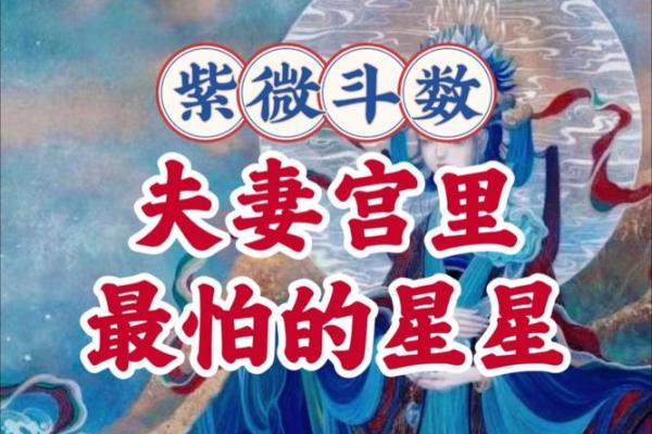紫微斗数之夫妻宫与诸星,天梁星在夫妻宫是什么意思? 紫微斗数之夫妻宫与诸星,天梁星在夫妻宫是什么意思?