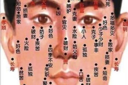 五官看面相算命图解男 男人五官面相大全
