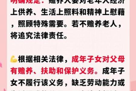 一双儿女不赡养老人，算命先生断定捡来的小儿子会报答老人