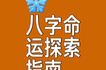 分析八字