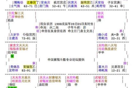 紫薇斗数看远行