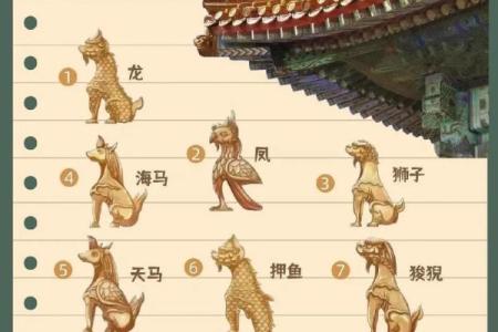 算命六兽排列详解视频