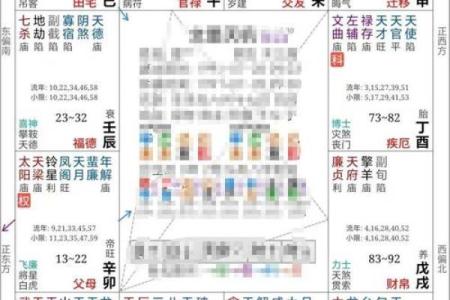 紫薇斗数流年紫薇化权
