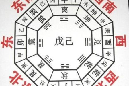 八字有辰