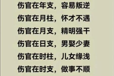 八字智慧