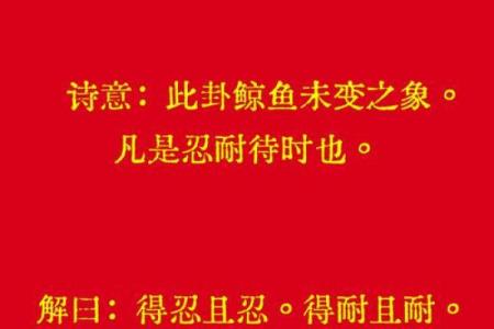 观音灵签第21签复合
