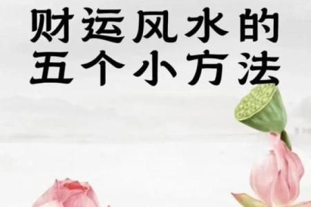 在招财商业风水中怎么提高财运