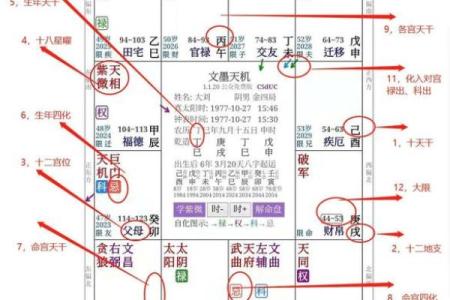 自紫薇斗数
