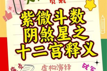紫薇斗数疾厄戊申