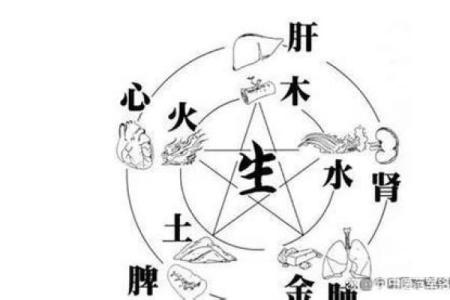 八字缺木如何补救 如何补充八字缺木