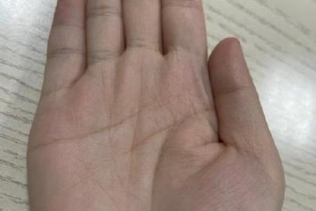 小指短的手相算命