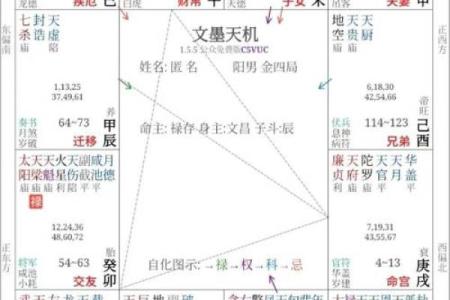 周公紫薇斗数